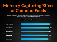 Mercury Capturing Effect of Common Foods