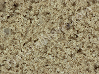 Muscle Milk Microscopic Photo 100x Magnification