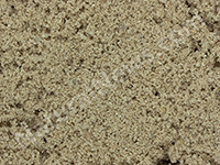 Muscle Milk Microscopic Photo 30x Magnification